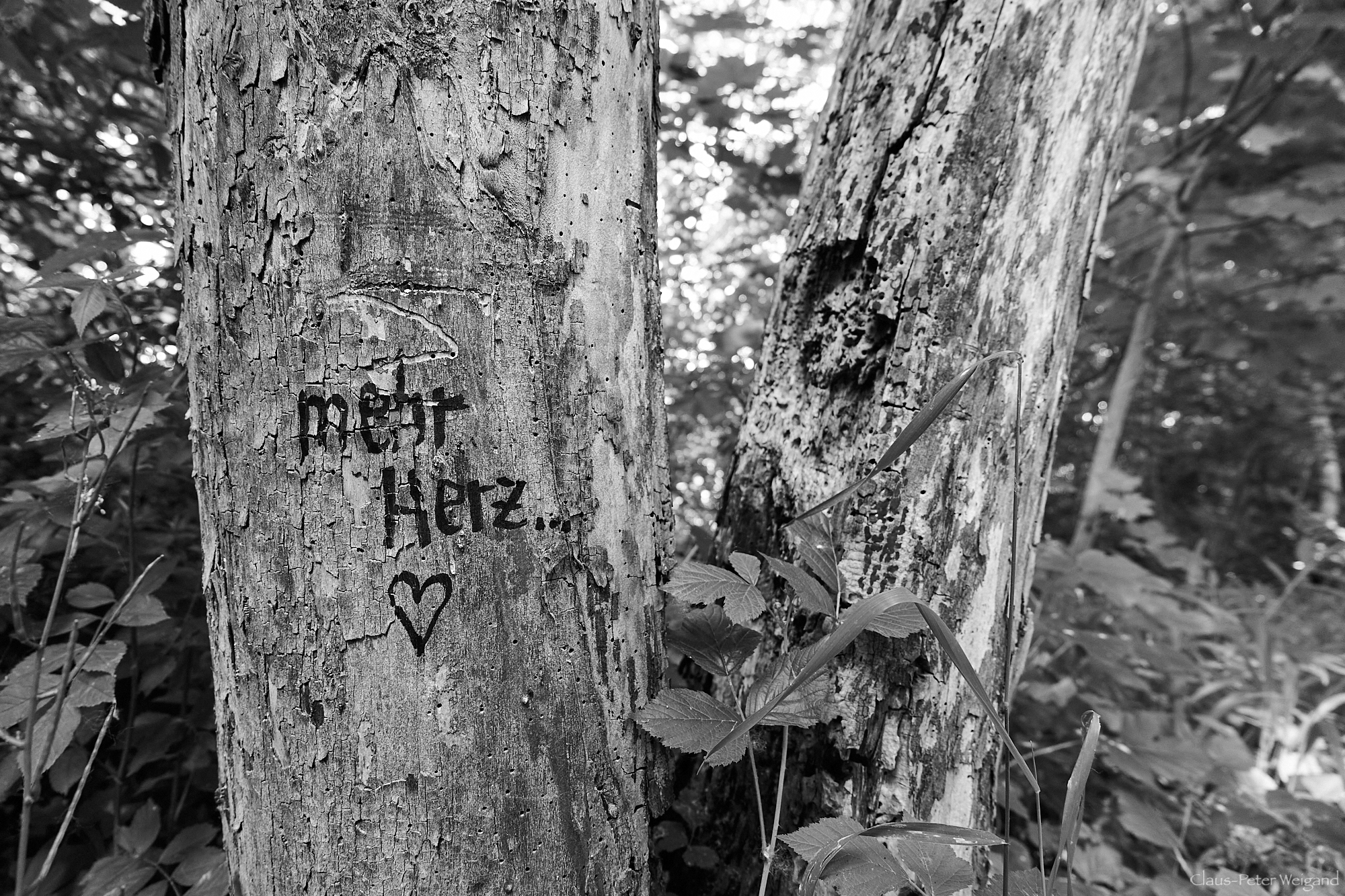 Mehr Herz!