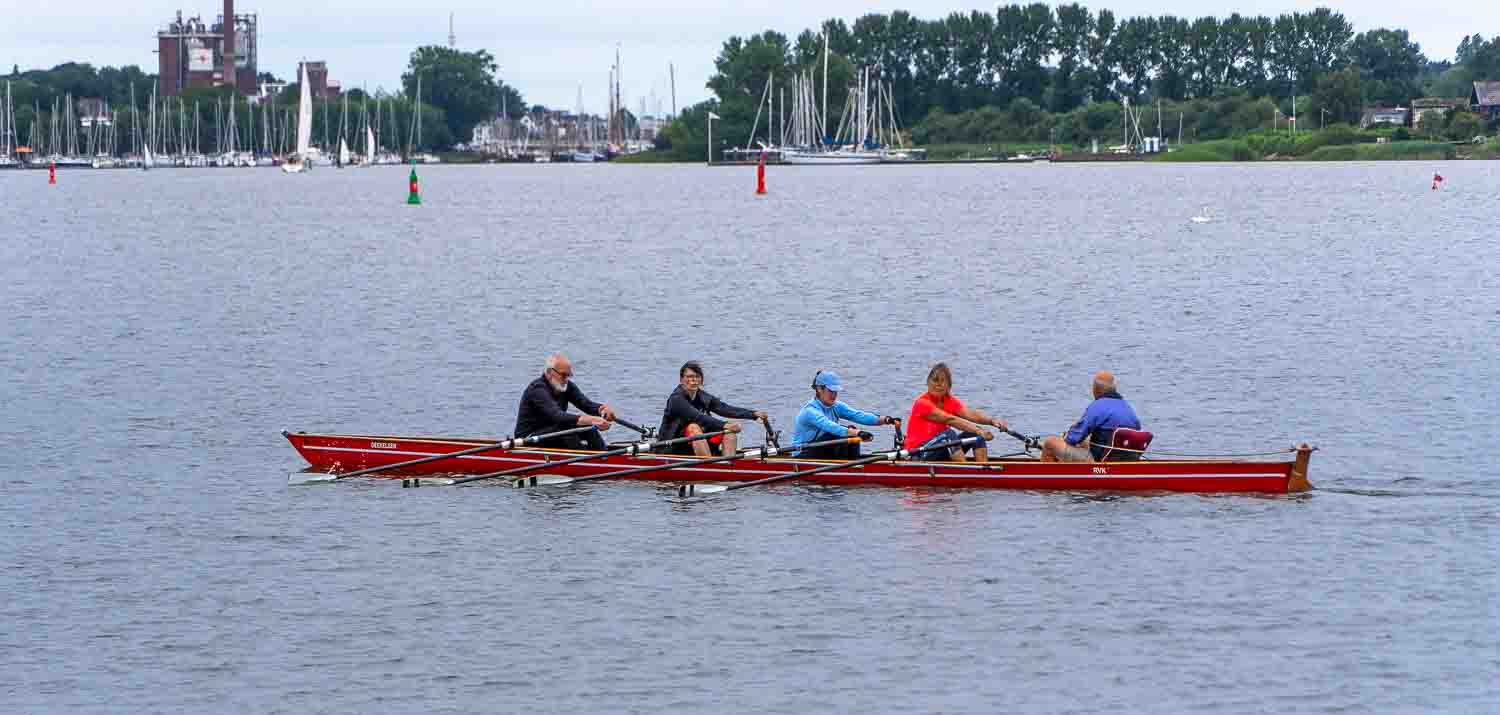 Ruderer auf der Schlei
