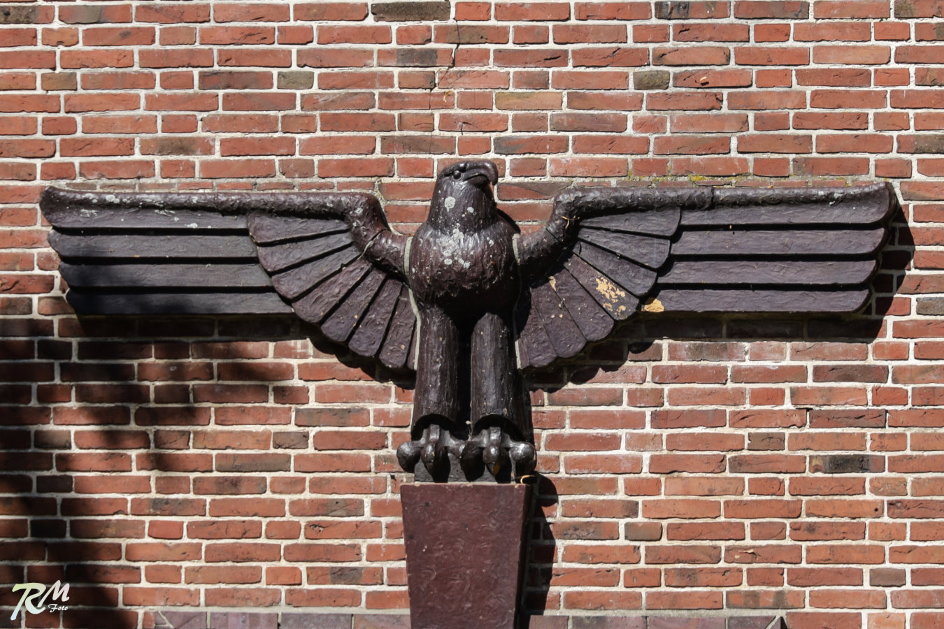 Adler an der Gallbergschule.
