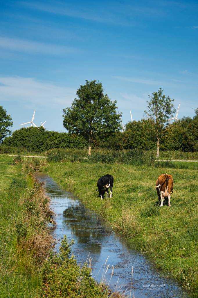 An der Schöpfmühle Honigfleth
