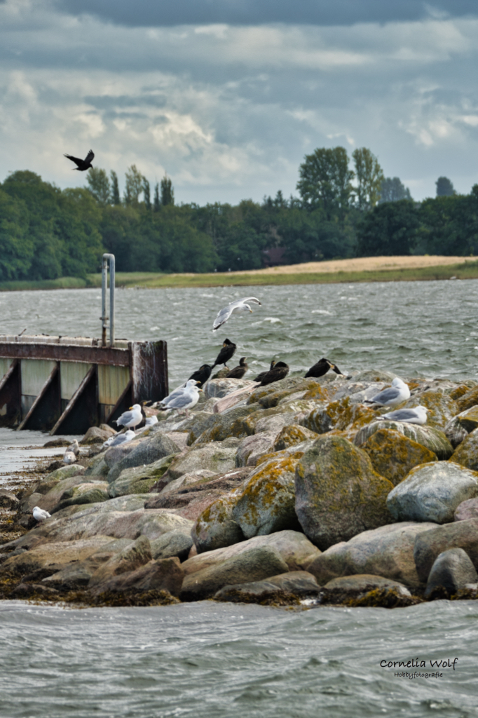 Am Hafen
