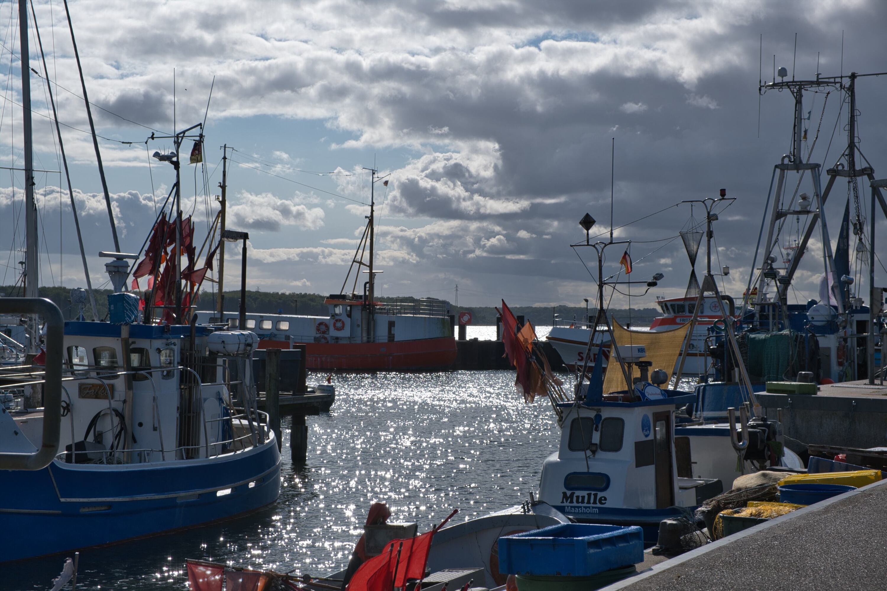 Maasholmer Hafen im Gegenlicht