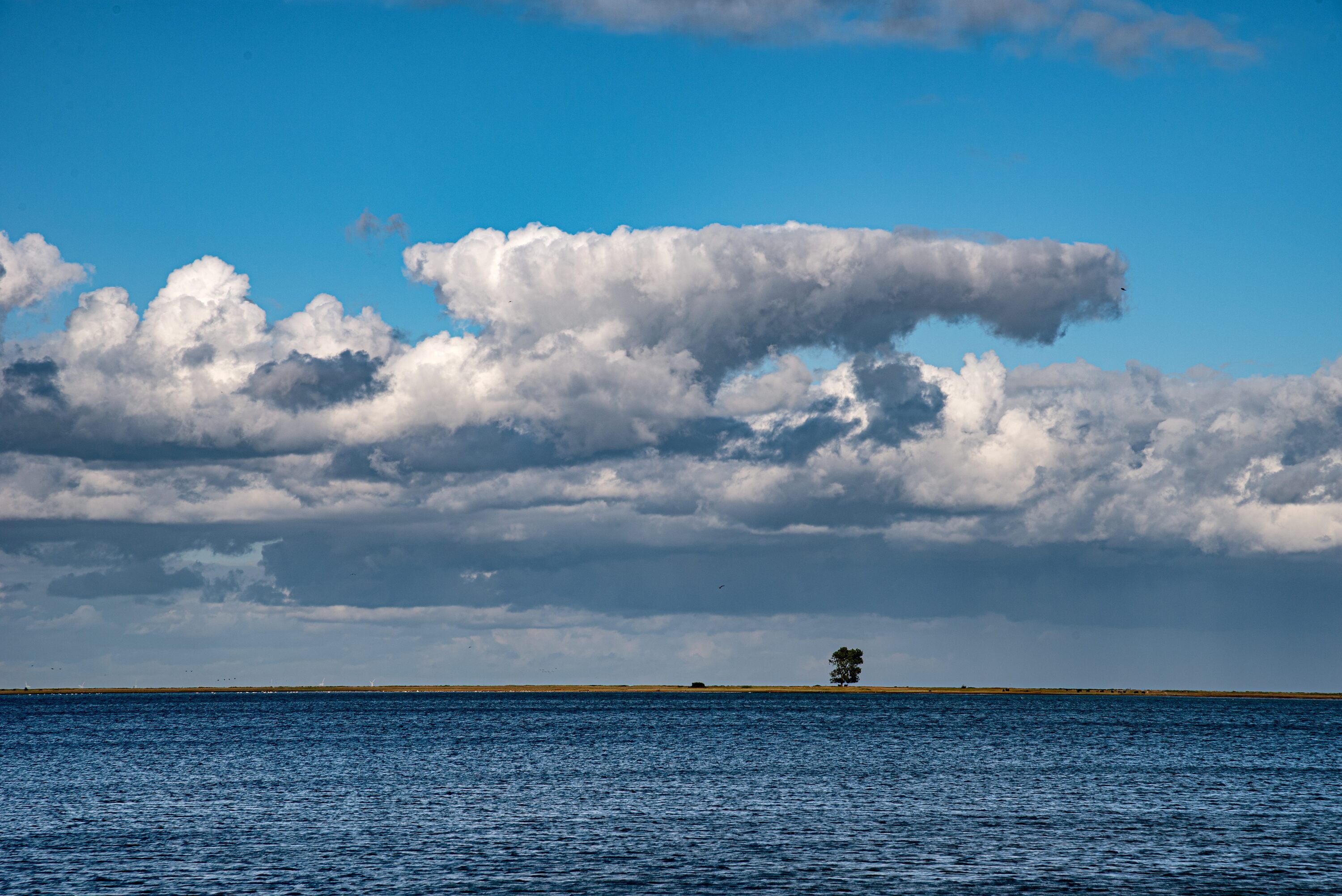 Der einsame Baum am Horizont