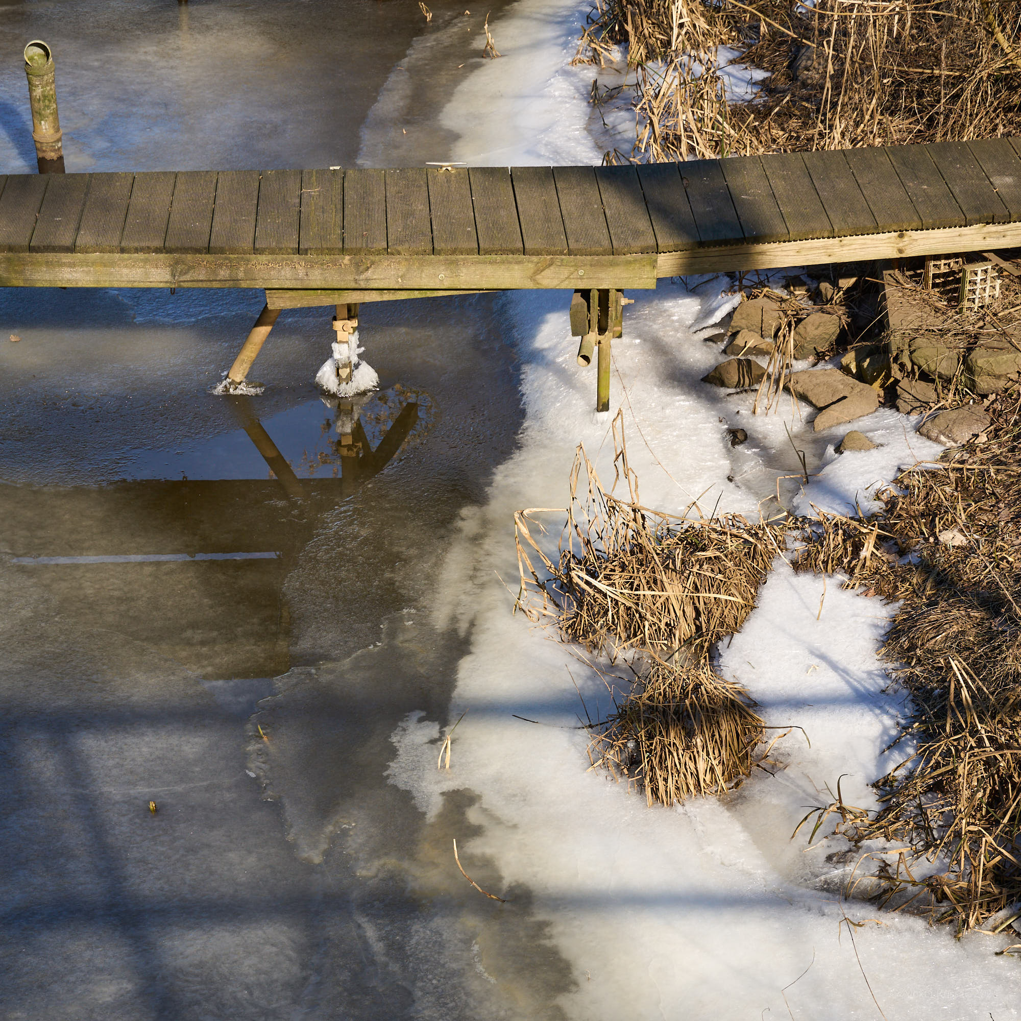 Frost