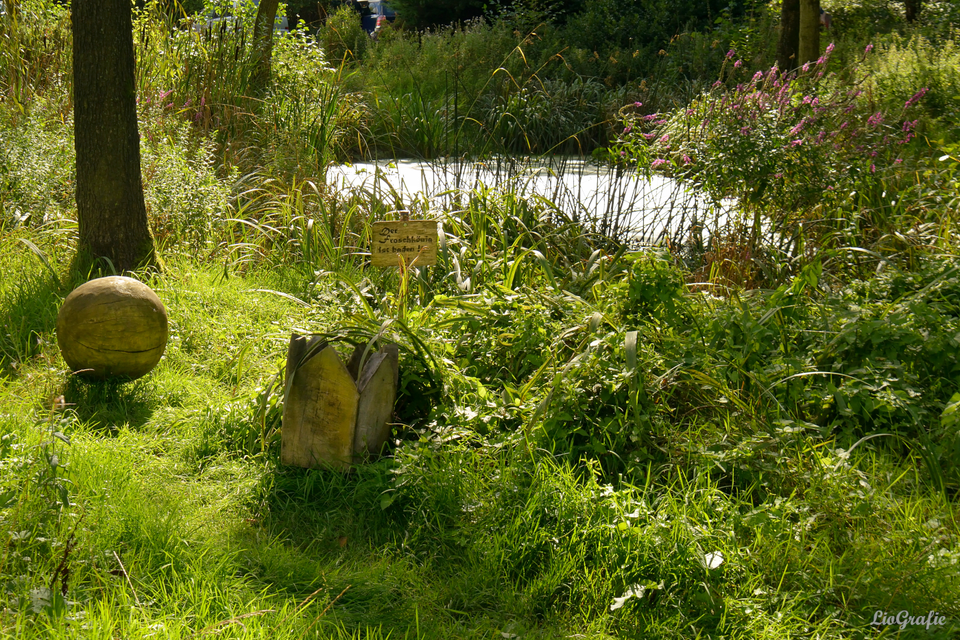 Der Froschkönig ist baden.