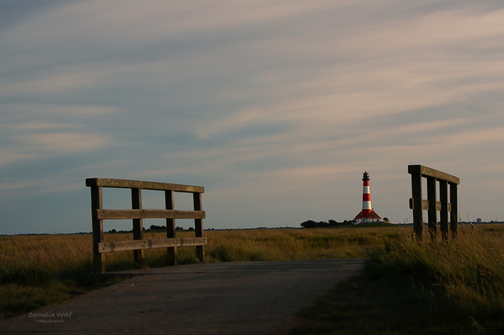 Der Weg ist nicht mehr weit