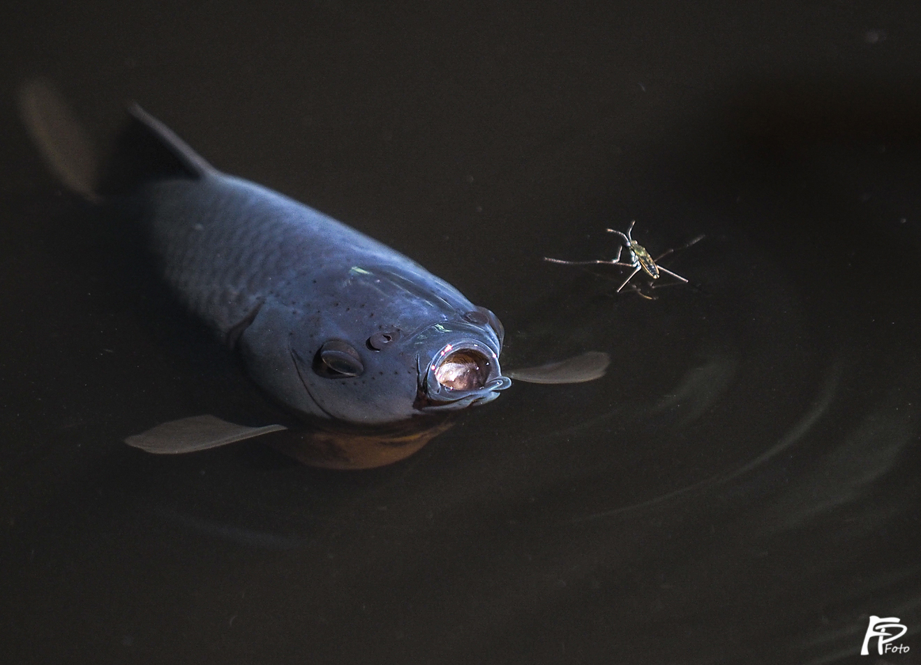 Was wohl gleich passiert ?