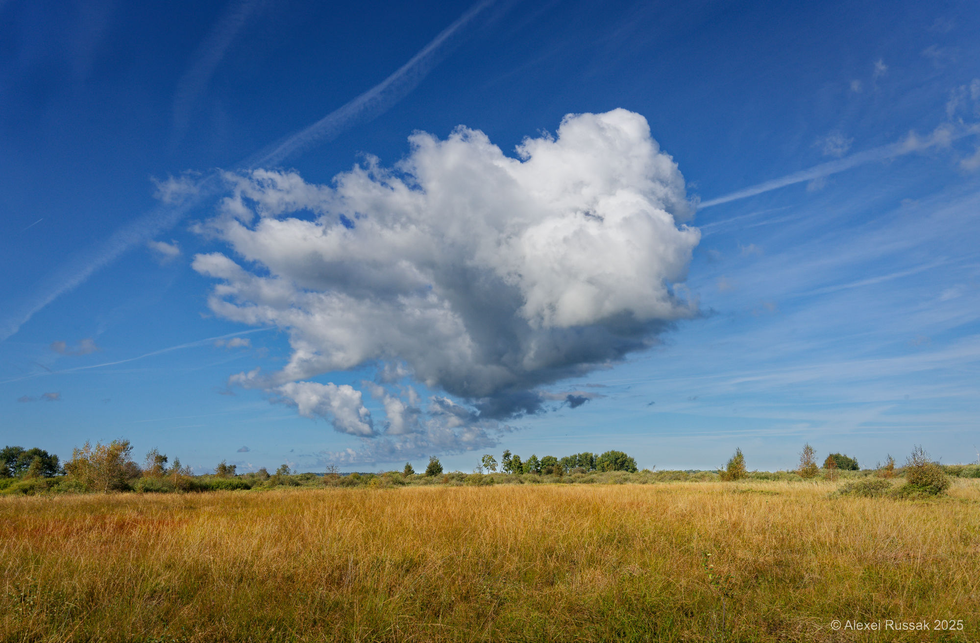 Ahrenviölfelder Westenmoor