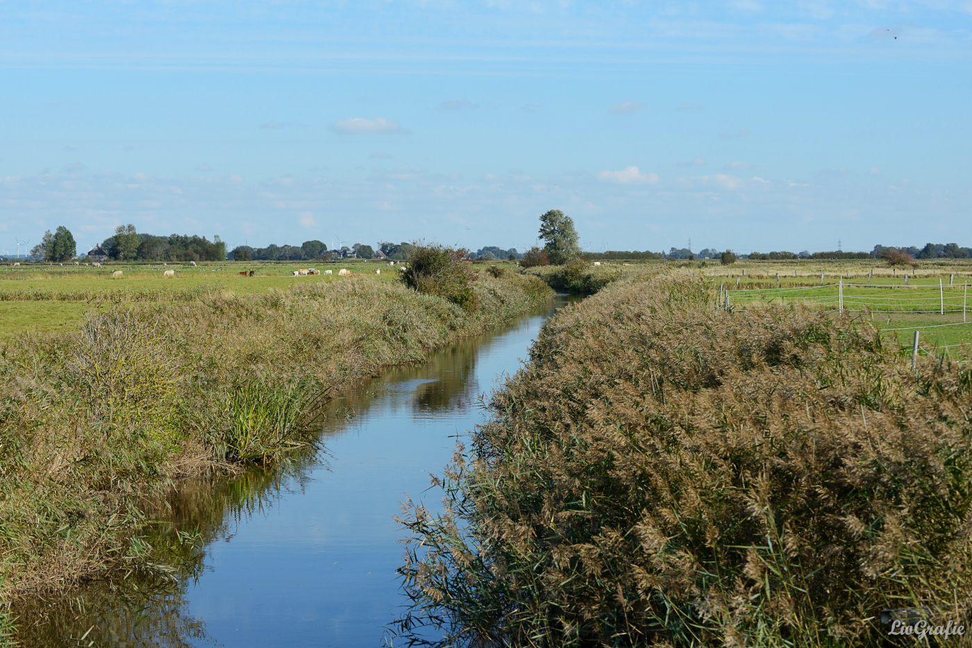 Norddeutsche Tiefebene