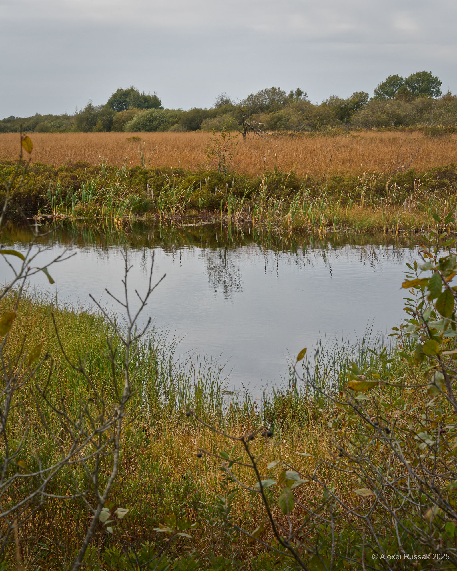 Blick über das Moor
