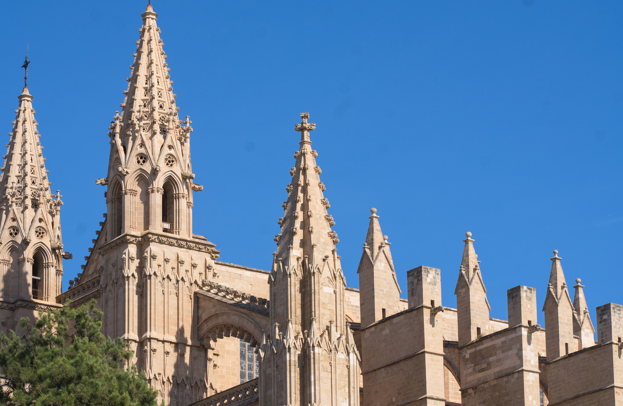 Kathedrale von Palma