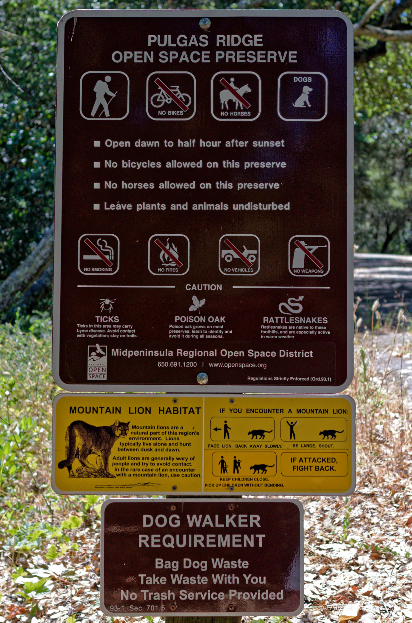 If attacked, fight back