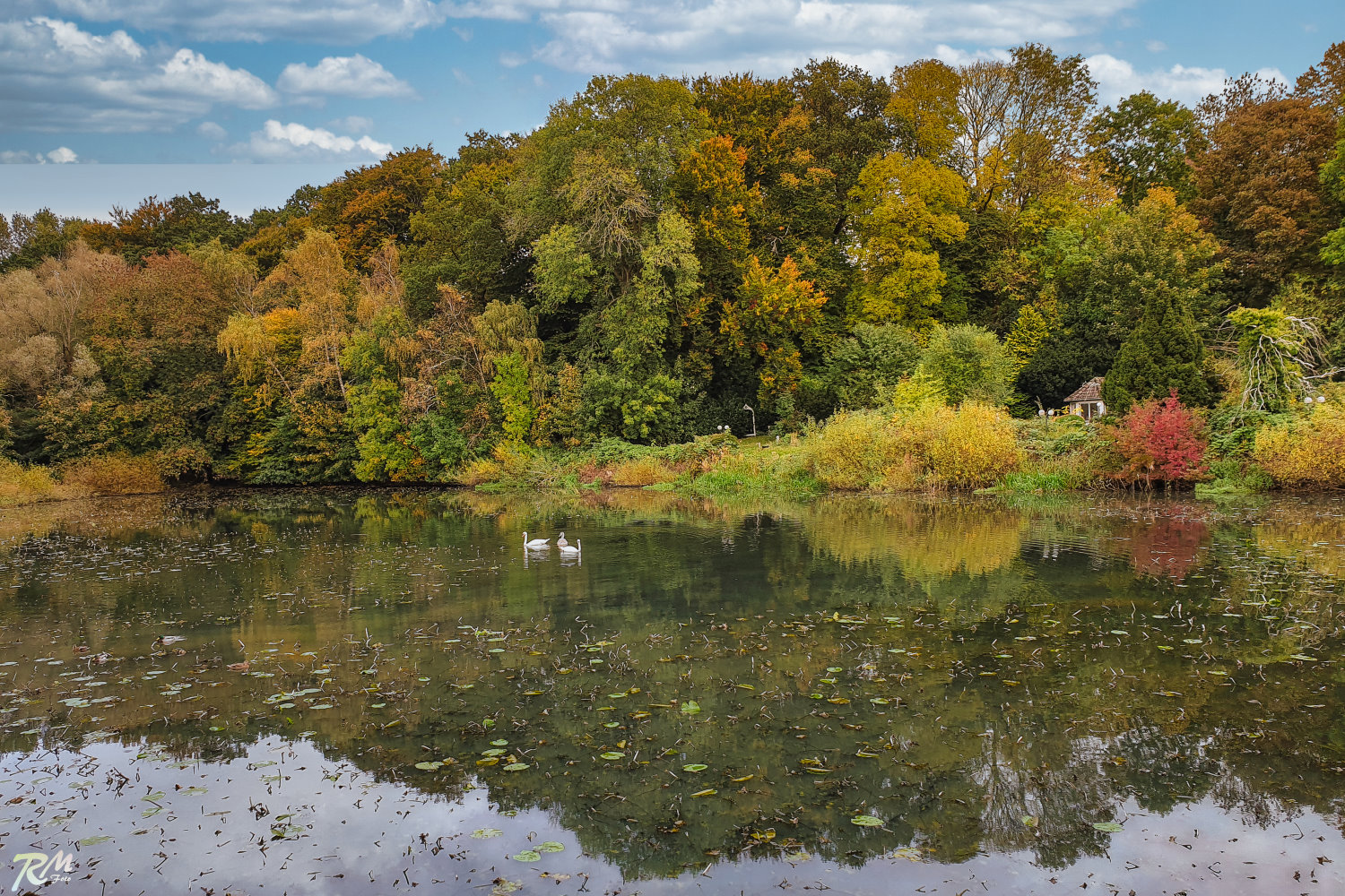 Herbst am Polierteich