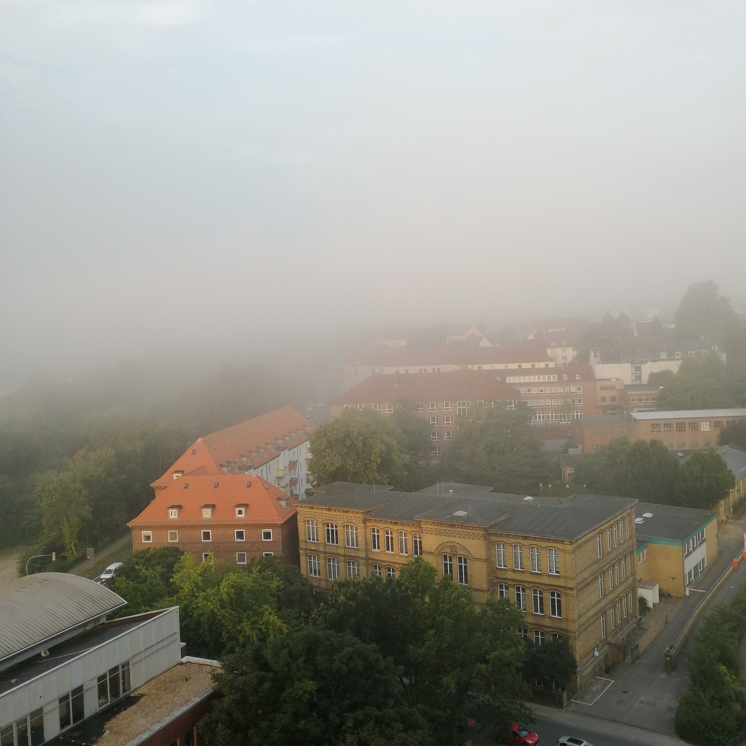 Nebel vor meinem Bürofenster 2