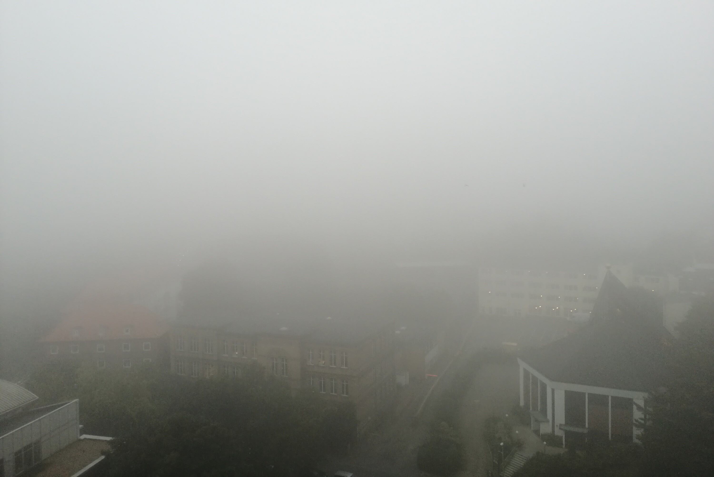 Nebel vor meinm Bürofenster
