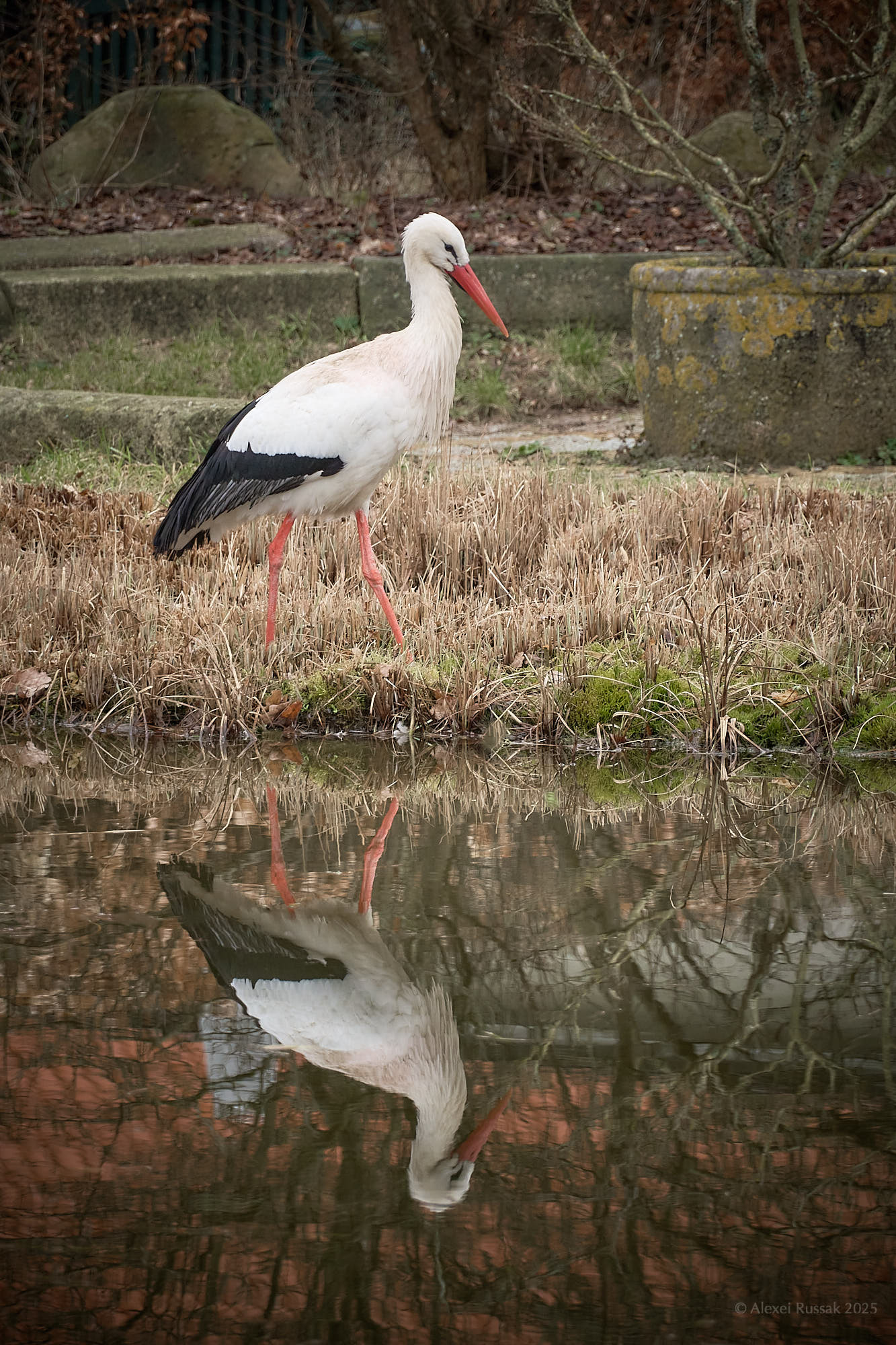 Am Mühlenteich