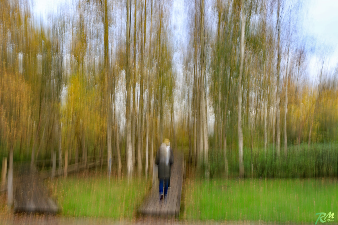 Verwackelte Bilder 1