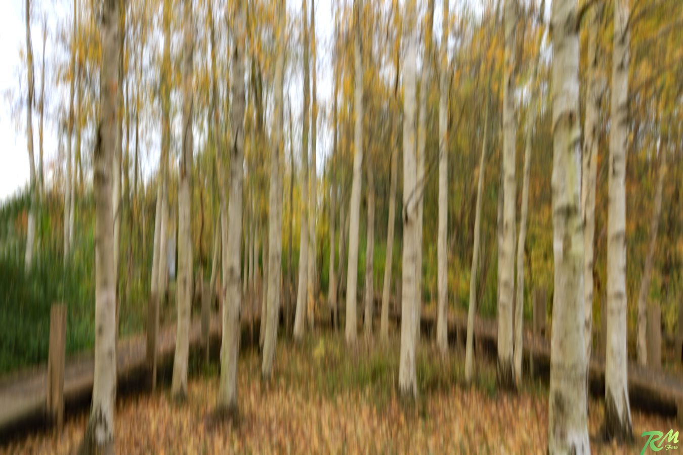 Verwackelte Bilder 2