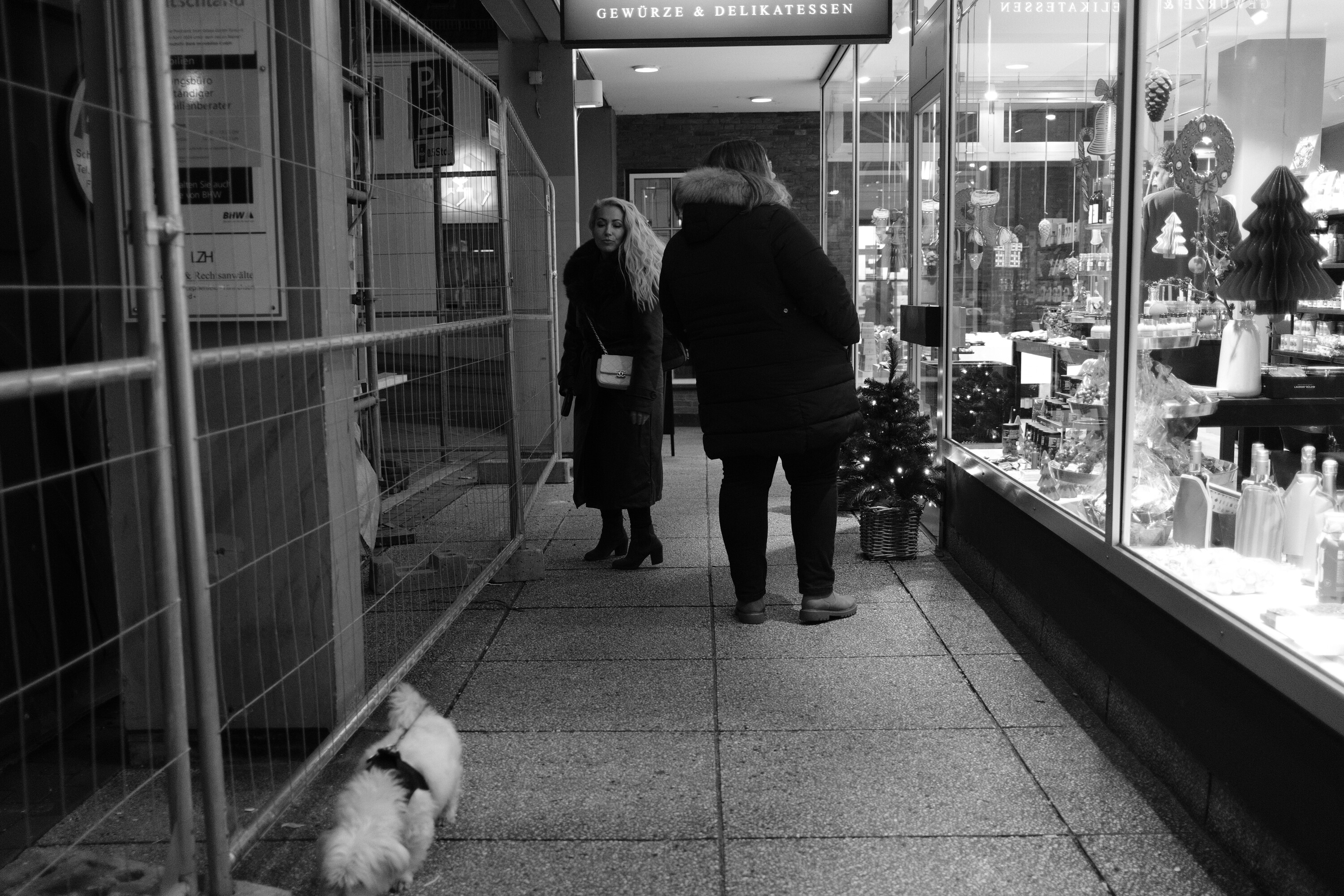 Als Hund  in der Stadt