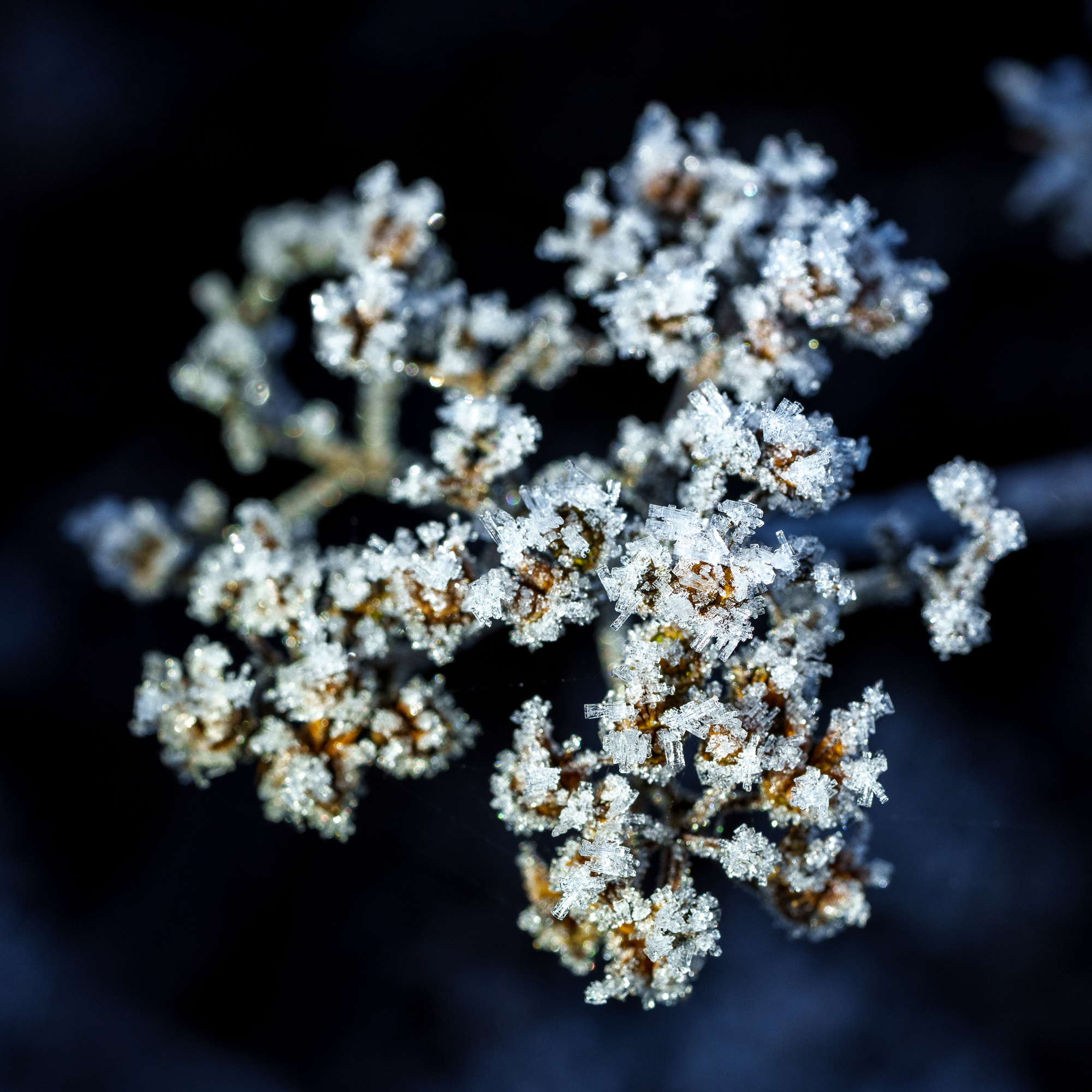 Eisfoto mit dem Macro