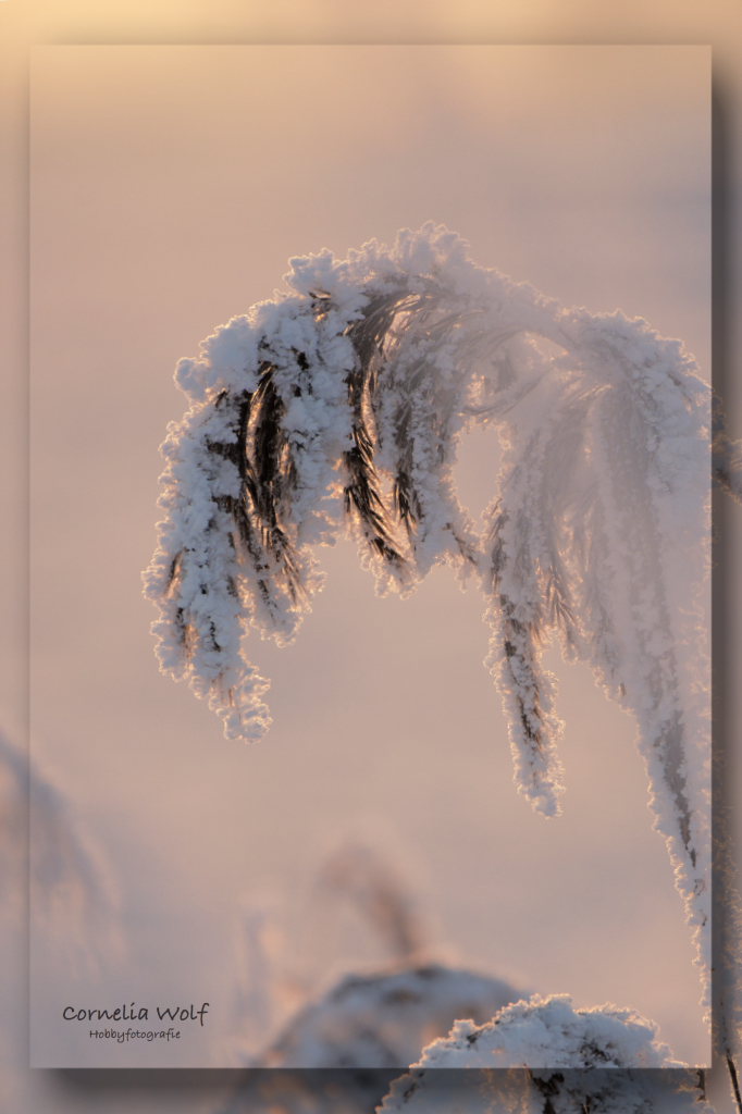 Letzten Sonnenstrahlen