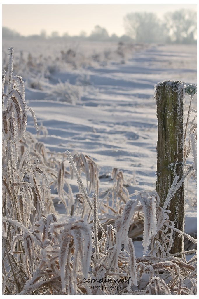 Schnee an der Eider