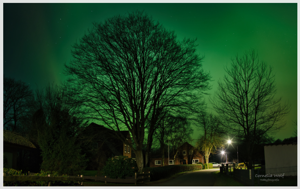 Polarlichter über Schleswig-Holstein