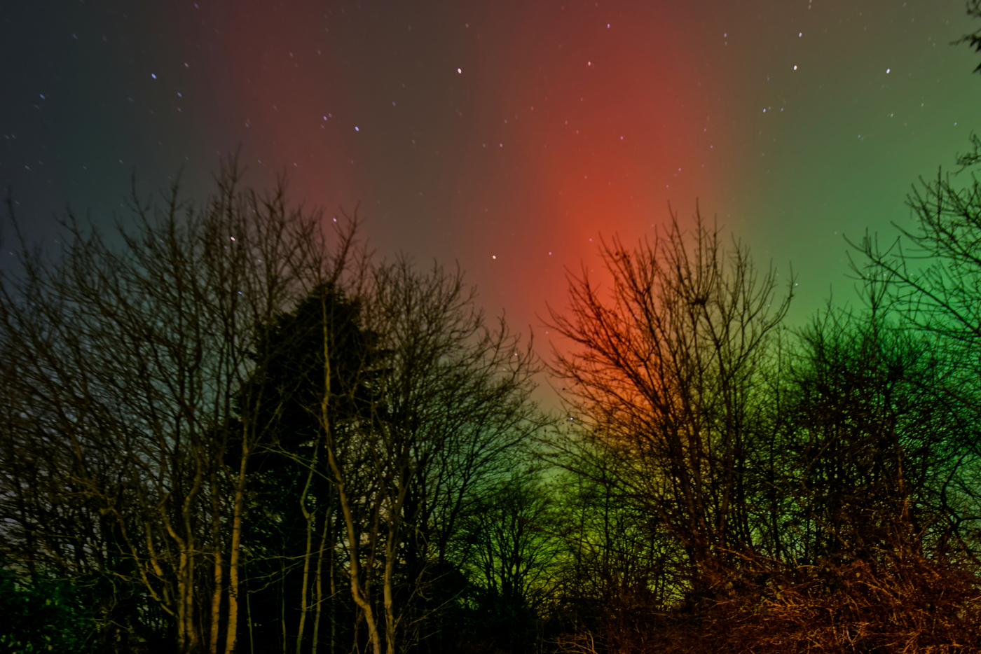 Polarlichter vom 19.1.26