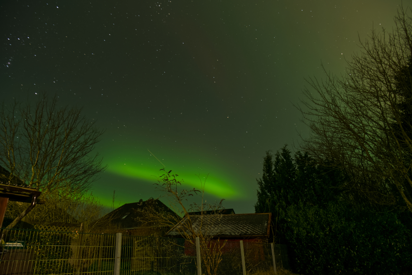 Polarlichter vom 19.1.26