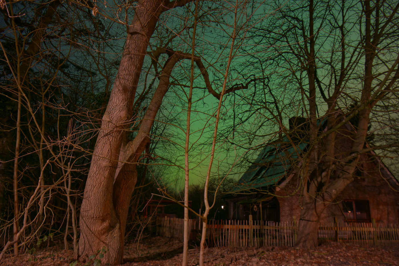 Polarlichter vom 19.1.26