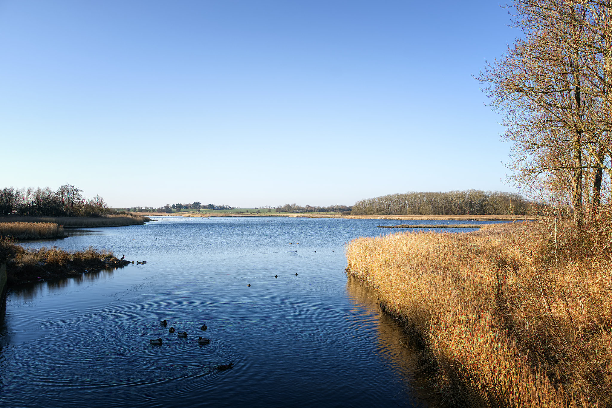 Winter am Steinwarder