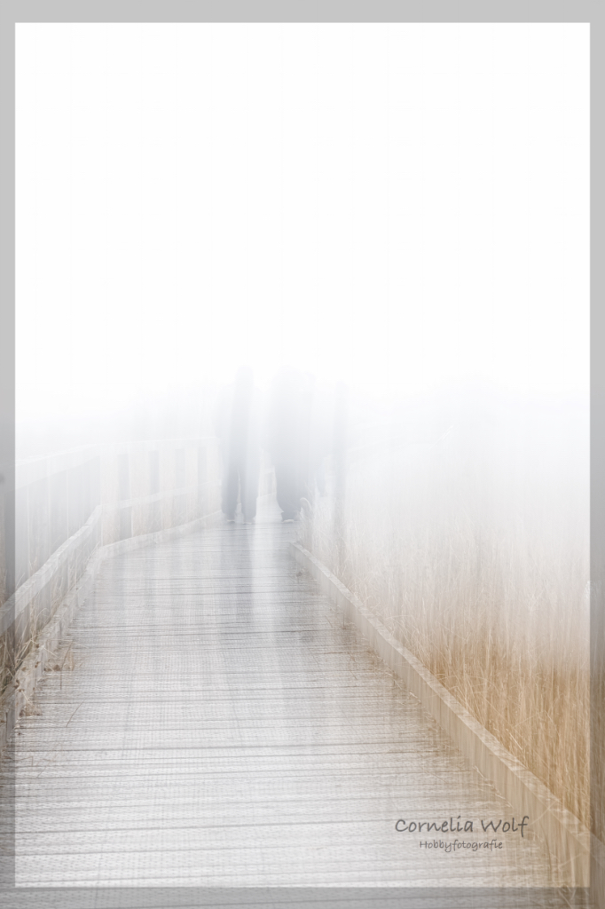 Holzsteg Richtung Moor, ICM