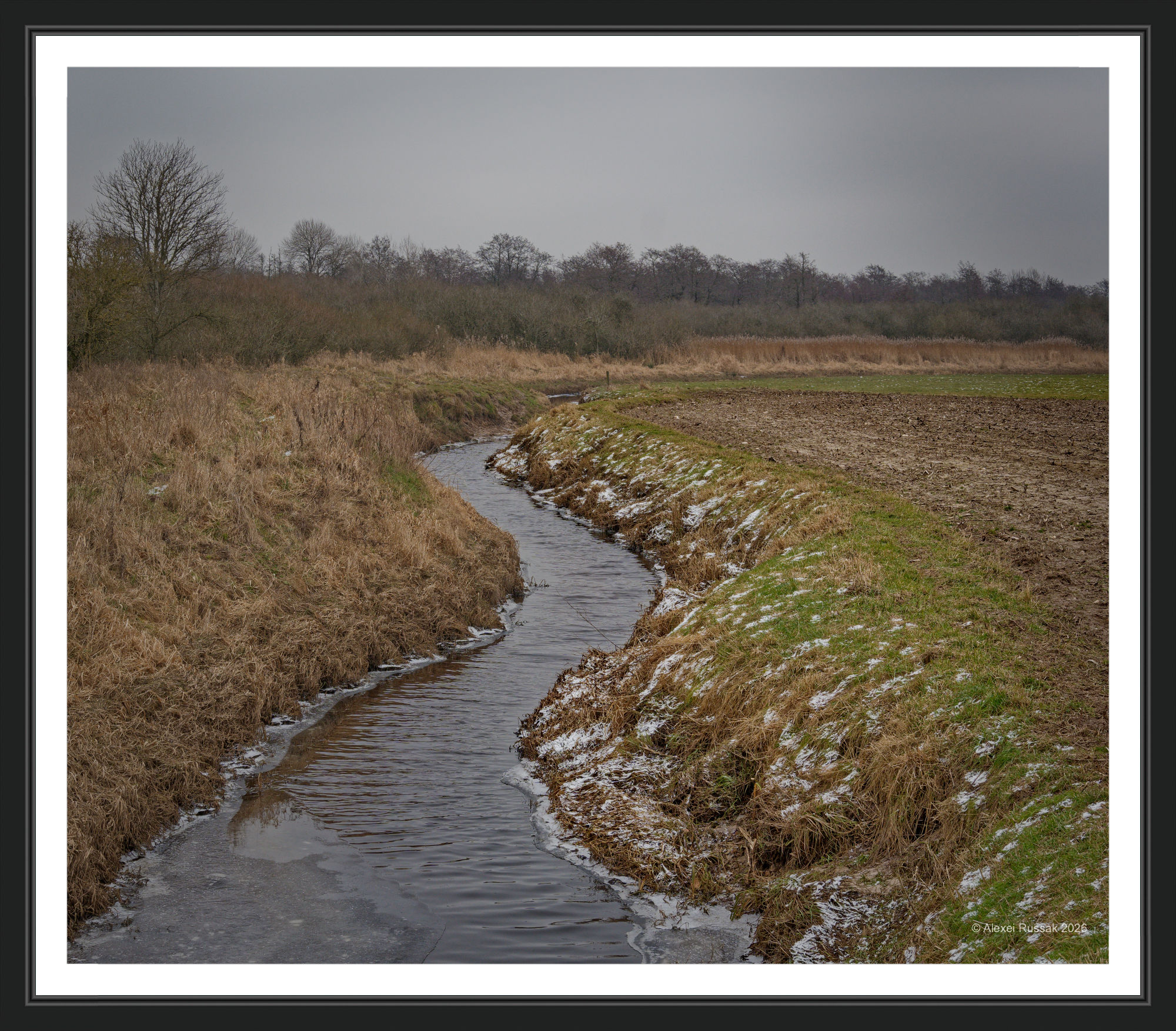 Wildes Moor - grauer Himmel