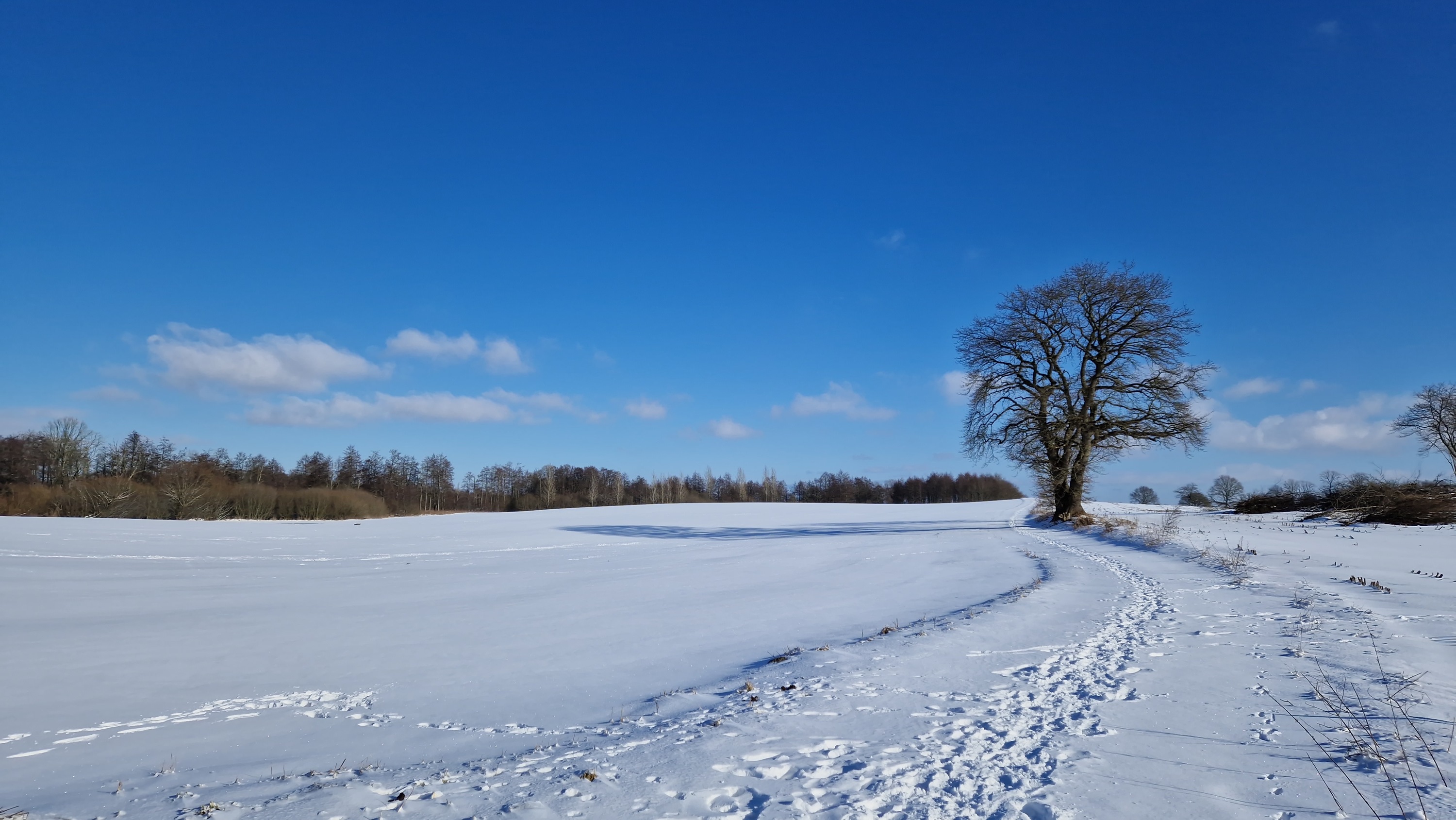 Winterlandschaft