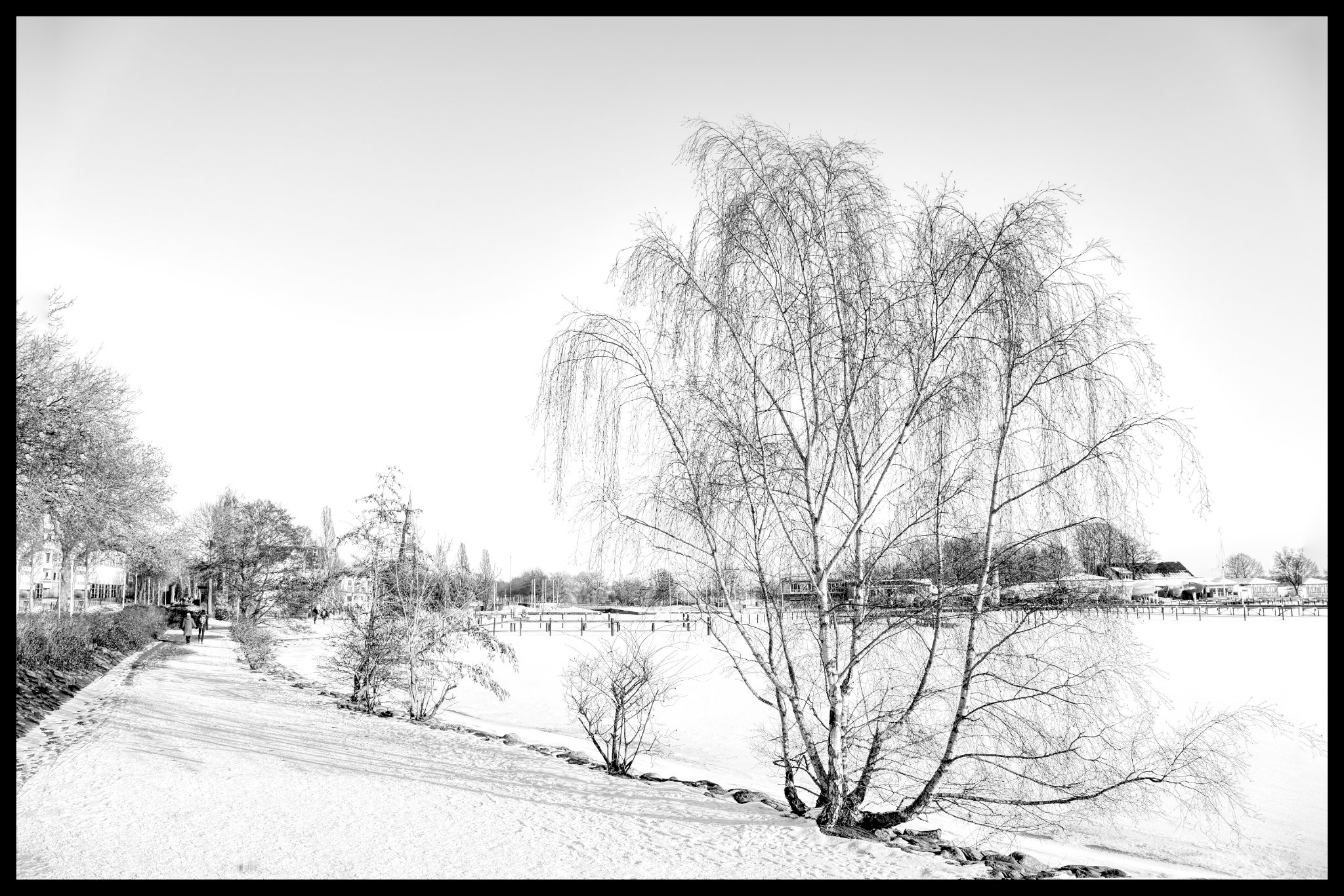 Winter an der Schlei
