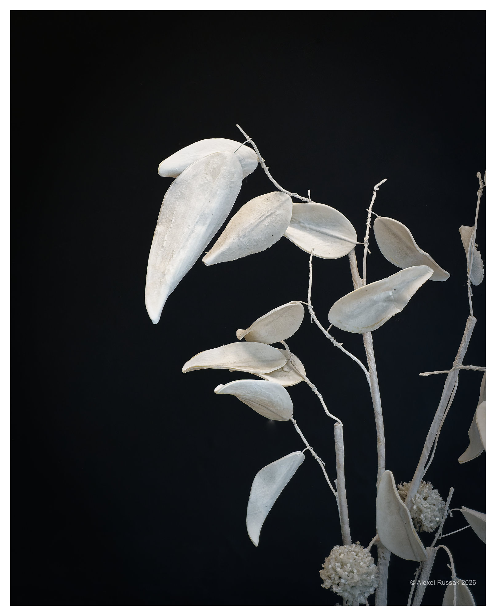 Schaufenster Dekoration