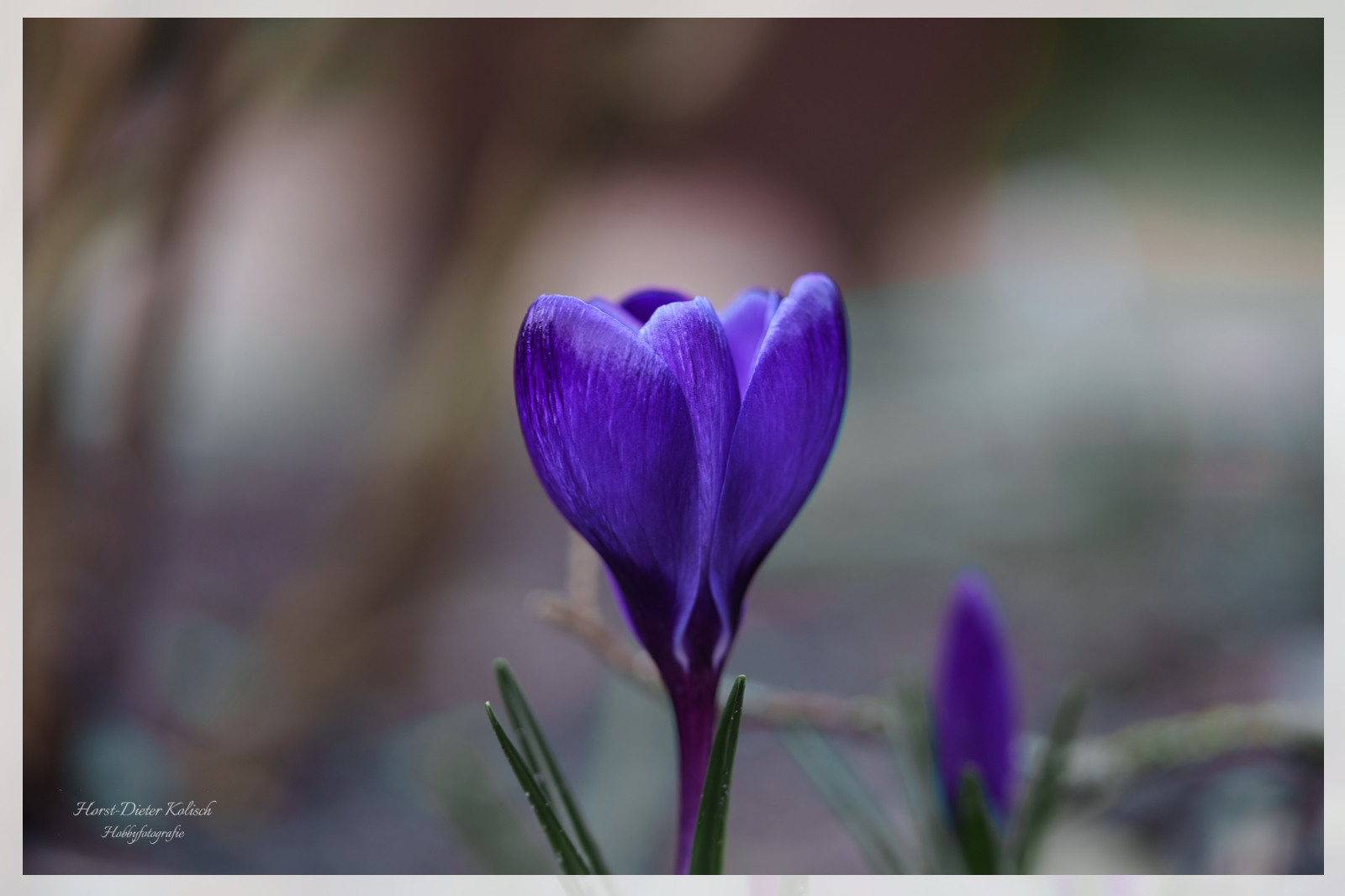 Der Frühling ist angekommen 😊