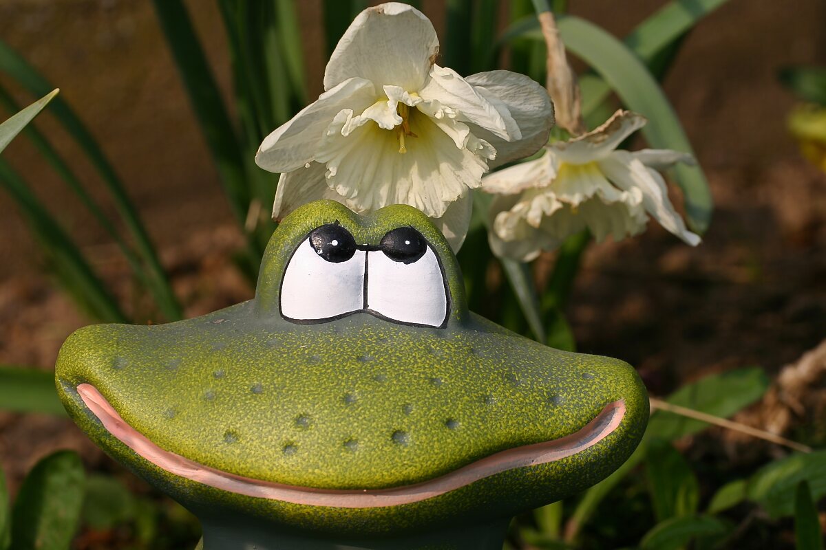 Der Frühling kommt bald