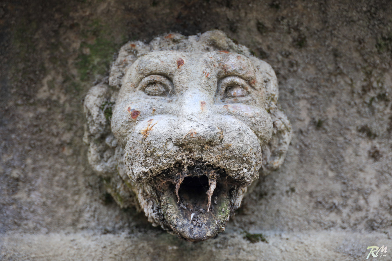 Vampier am Sprinbrunnen.