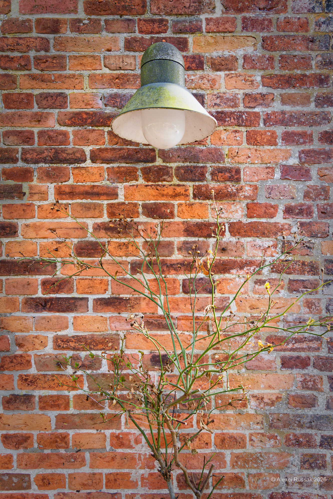 Wachstumsbeleuchtung