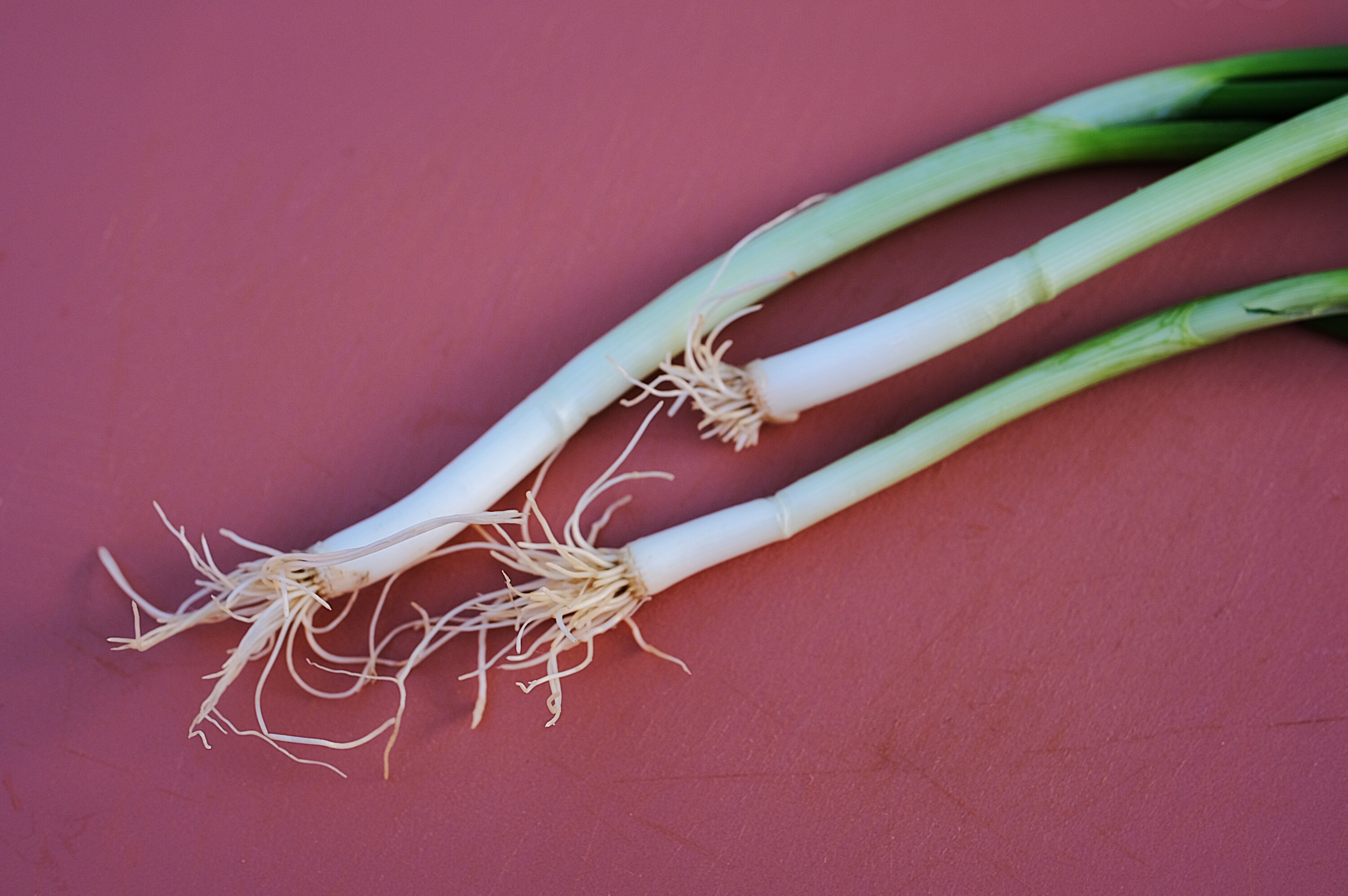 Challenge 3/2 Frühling weißgrün