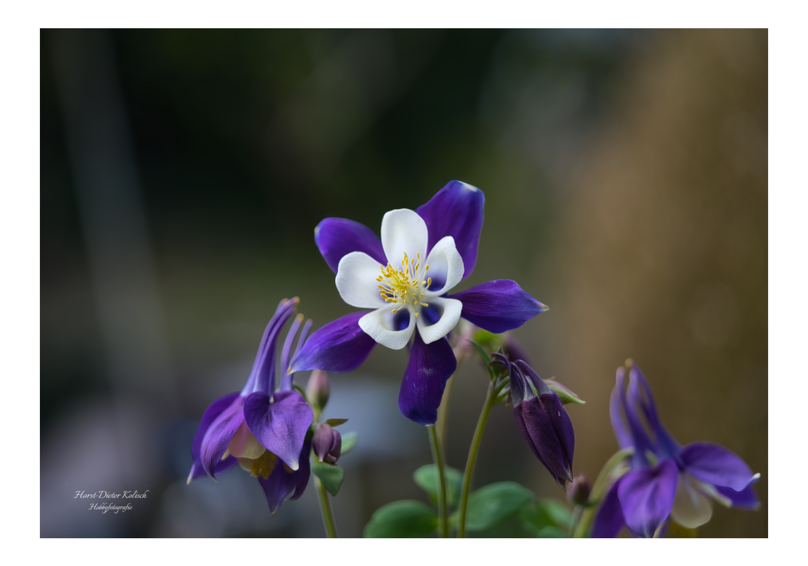 Mit der Kamera auf der Terrasse 💙😊