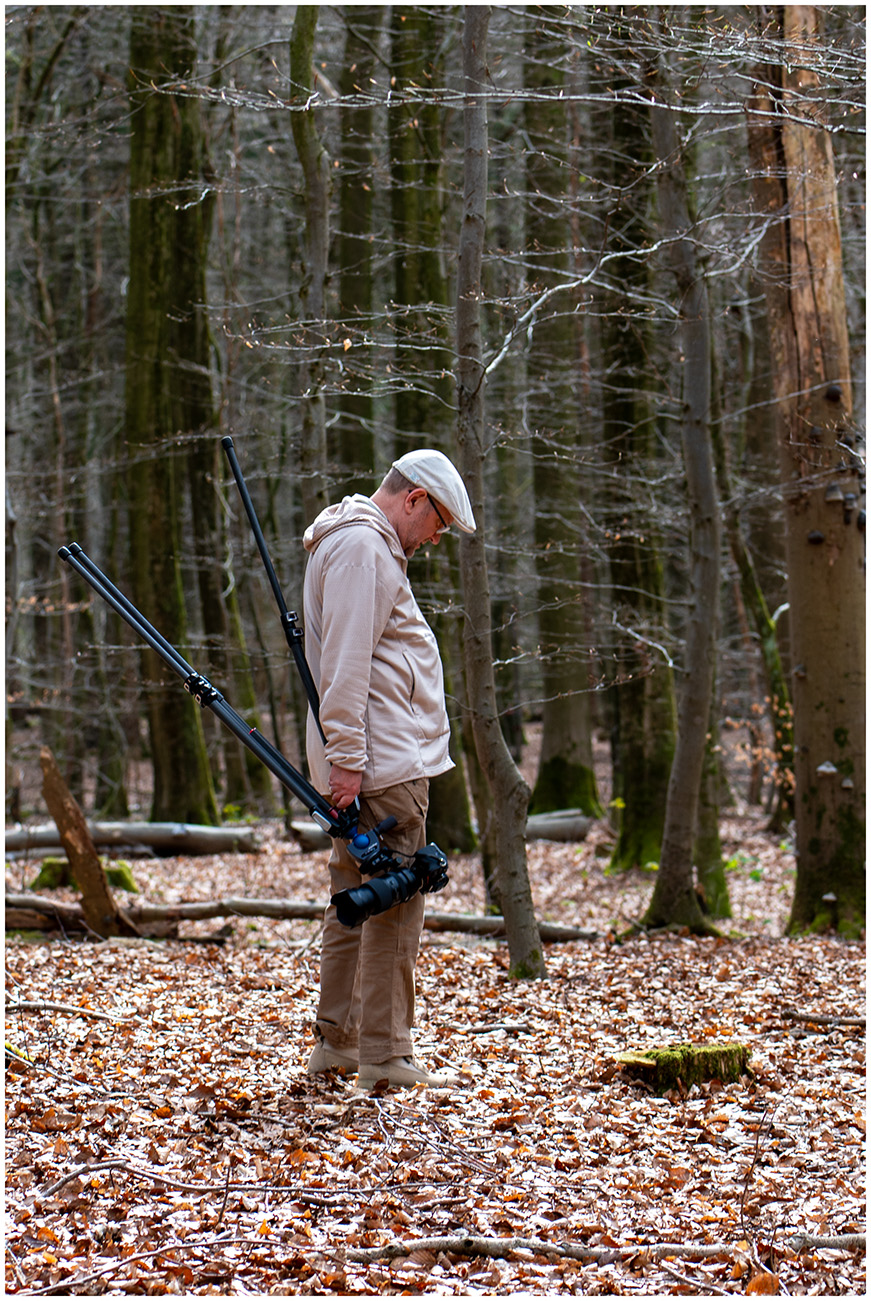 Auf der Suche nach dem Motiv
