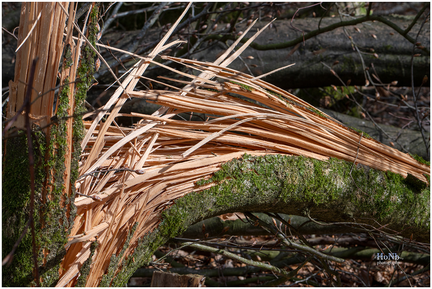 Der Wind war stärker