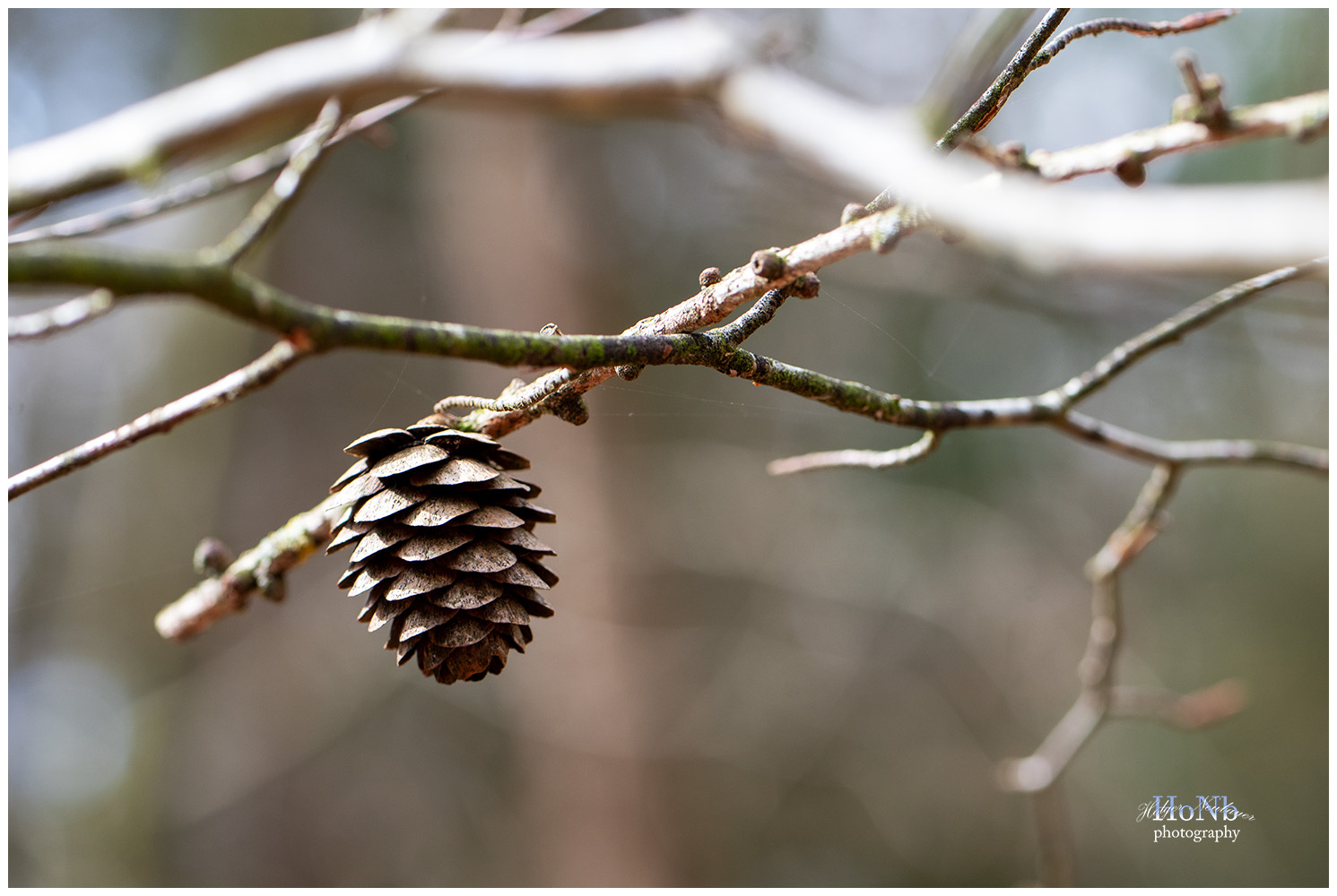 Vergessen oder übriggeblieben