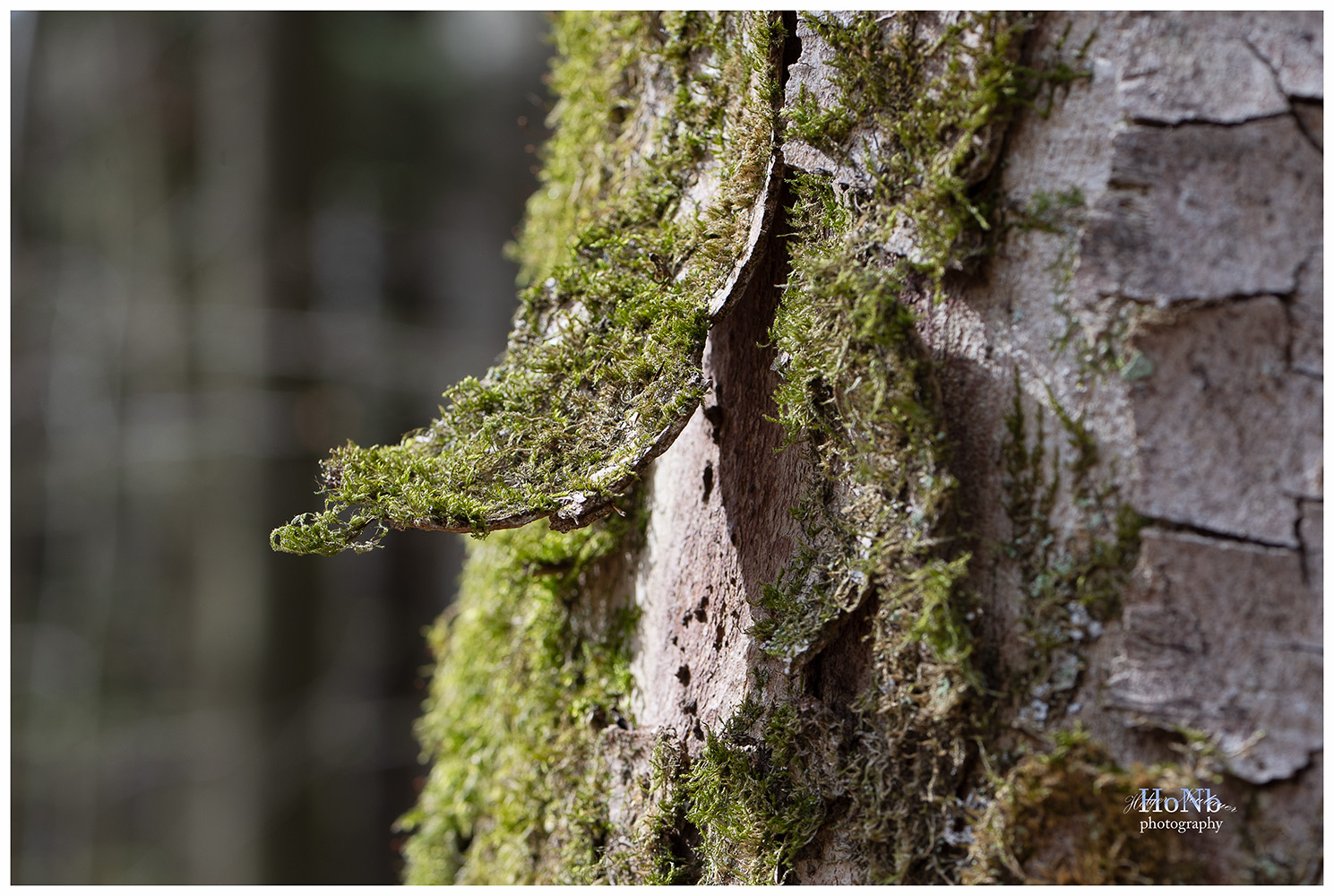 Ein Platz an der Sonne