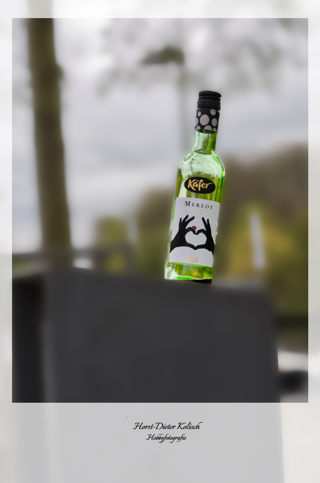 Der besondere Käfer 🪲