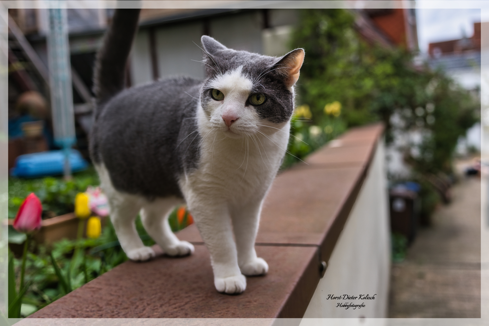 Fototour durch die Lübecker Altstadt