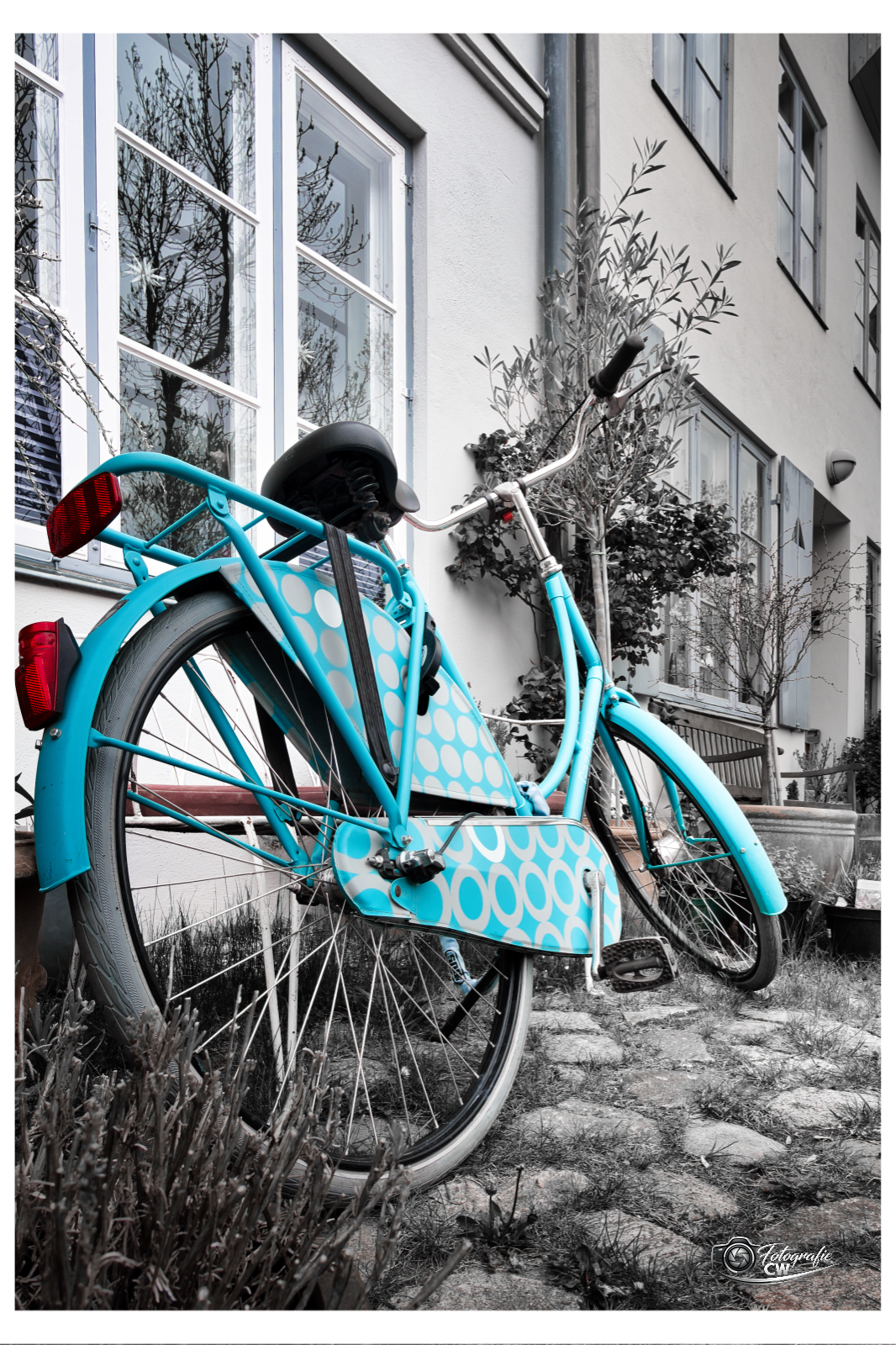 Hinterhofidylle in der Stadt