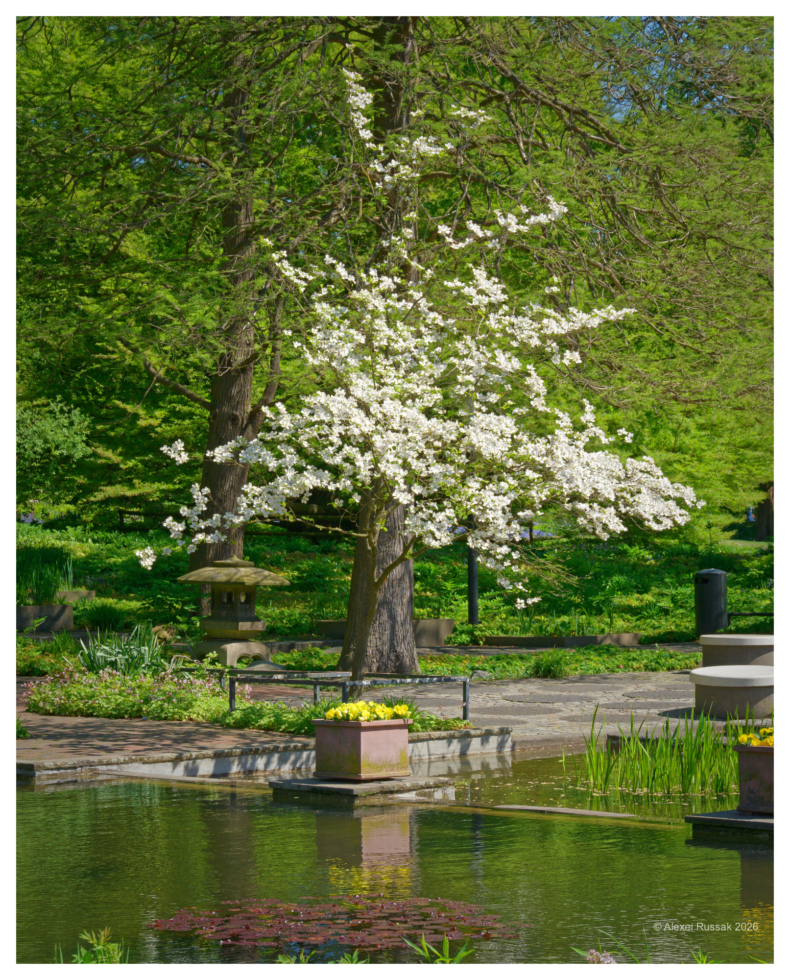 Im Park